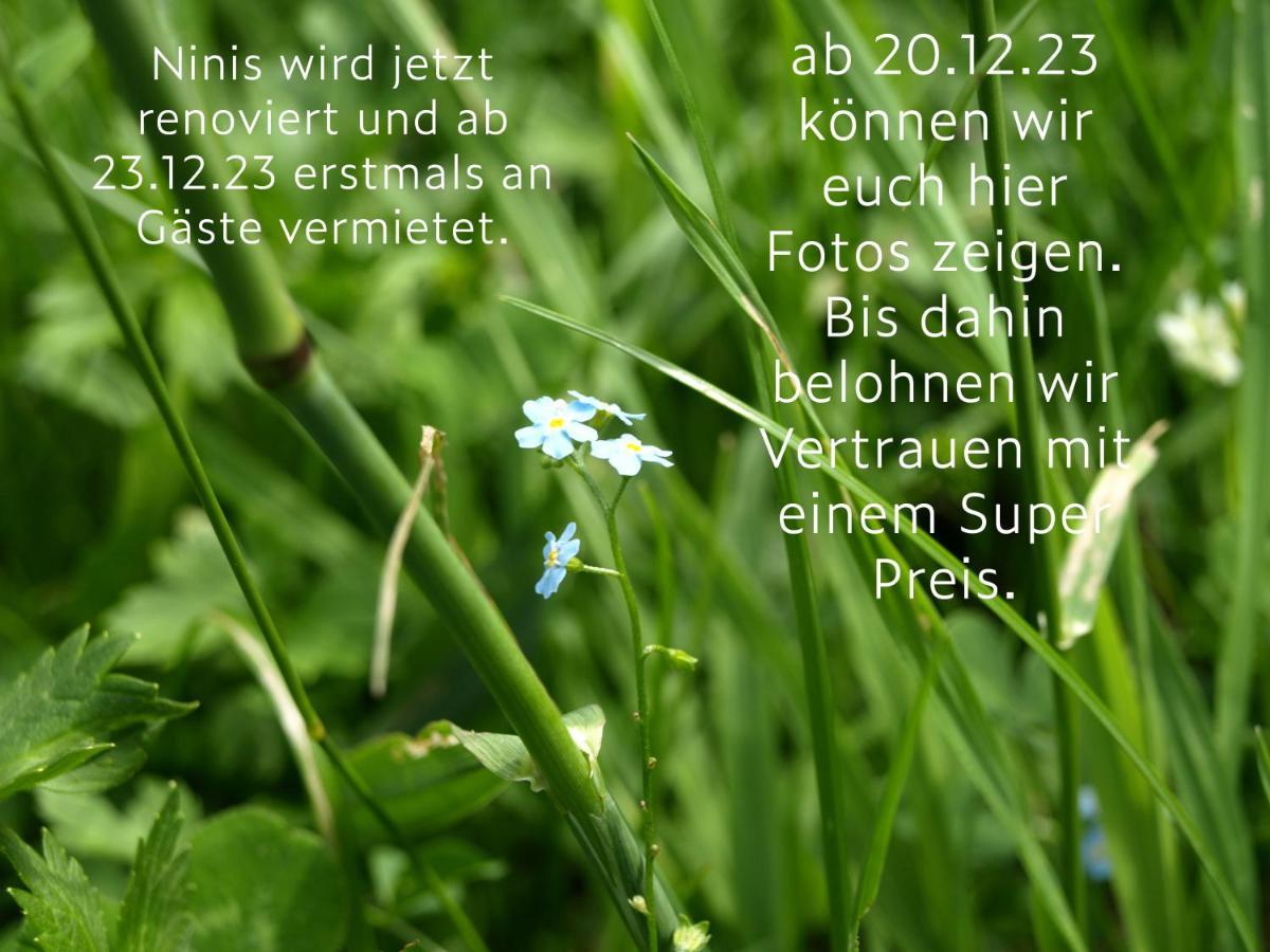 Ninis - Ferienhaus Im Bregenzerwald エック エクステリア 写真