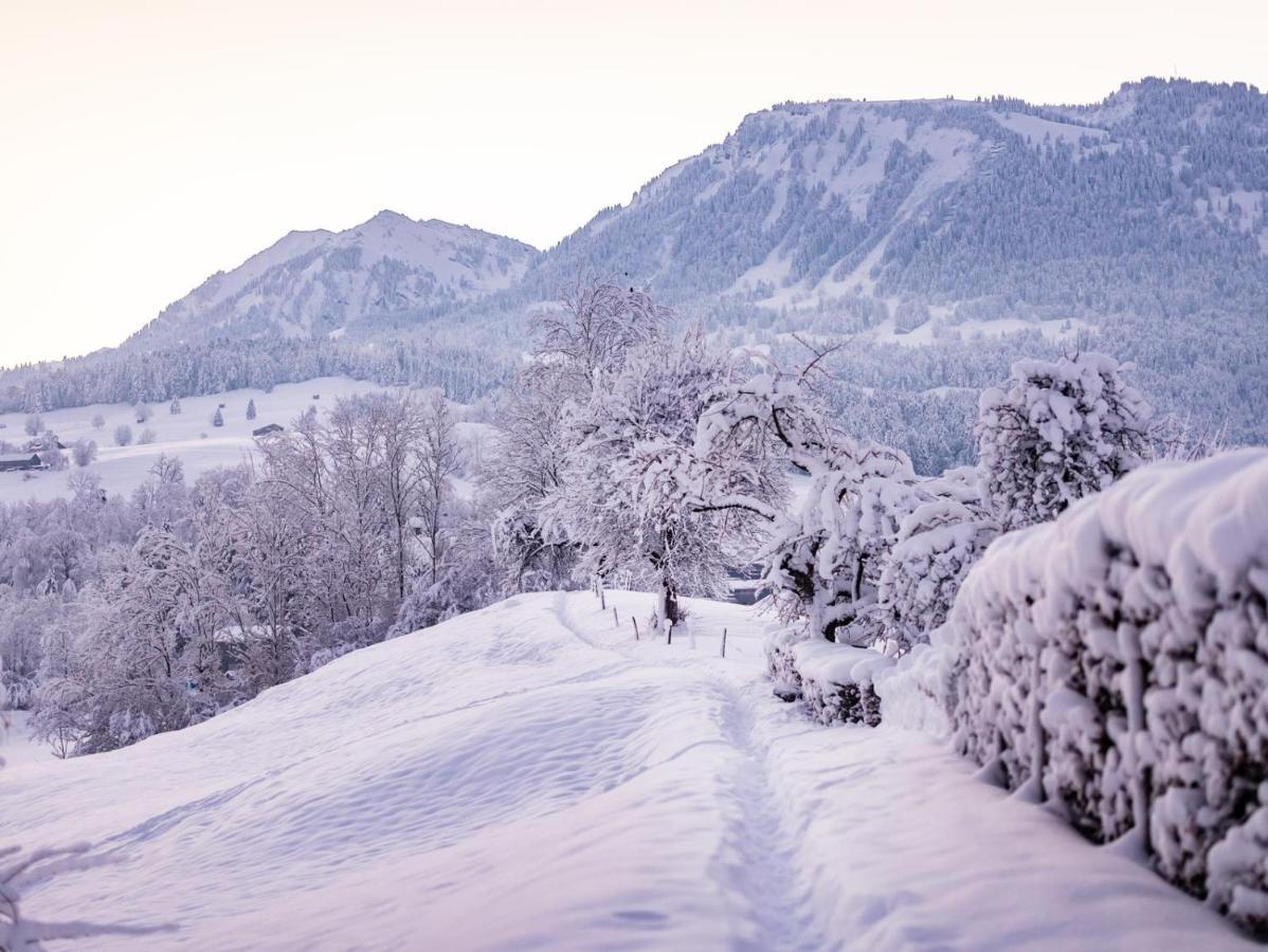 Ninis - Ferienhaus Im Bregenzerwald エック エクステリア 写真